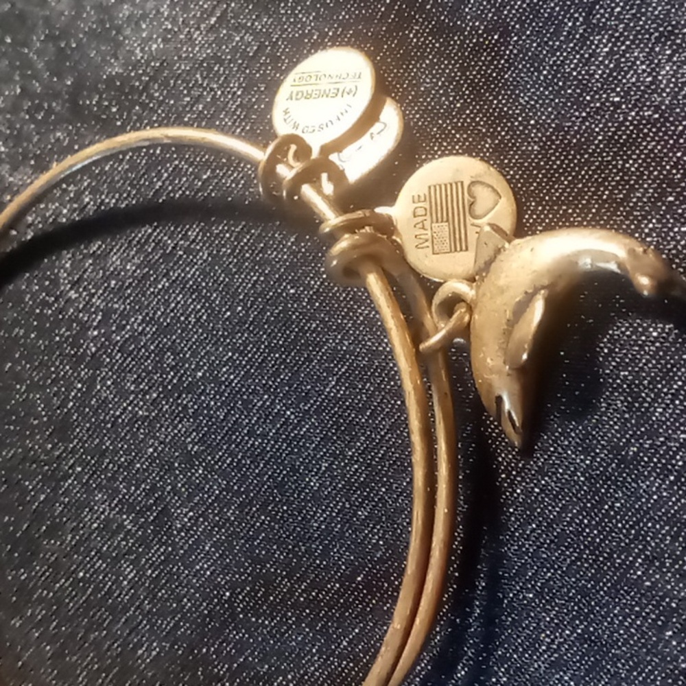 Alex and Ani Designer dolphin charm bangle bracelet gold tone finish high energy